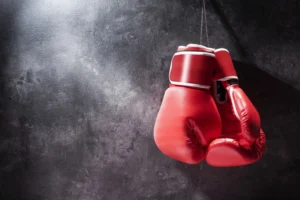 media-168333539031588400