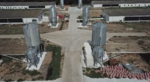 agroland-mihailesti_zztfu