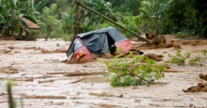 media-146374350354438900