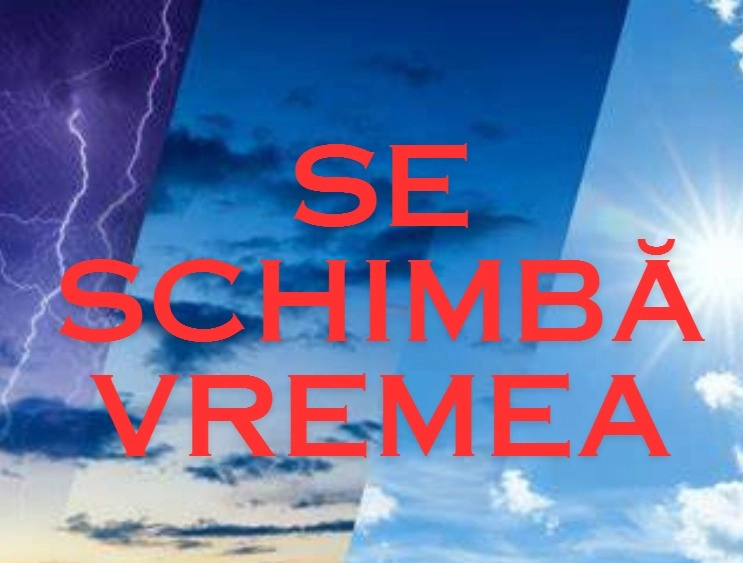 media-171164923594839800