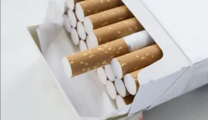 media-172467382195393400