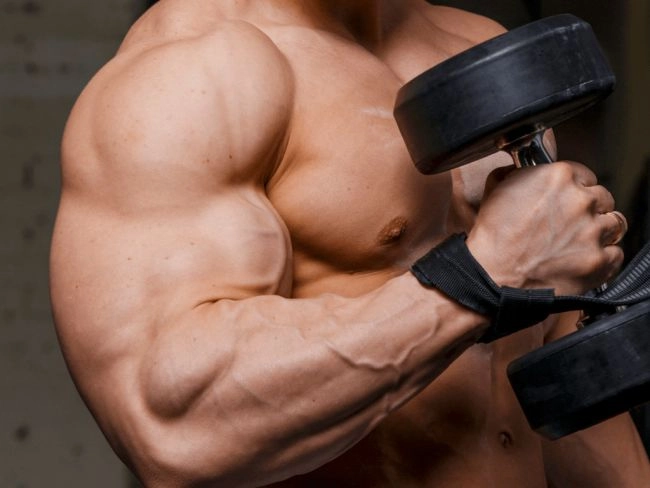 media-172558414473814600