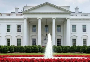 media-173221829671295200