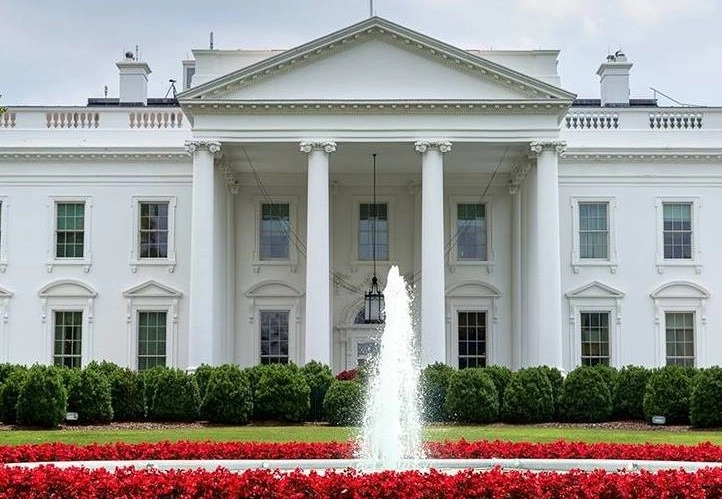 media-173221829671295200