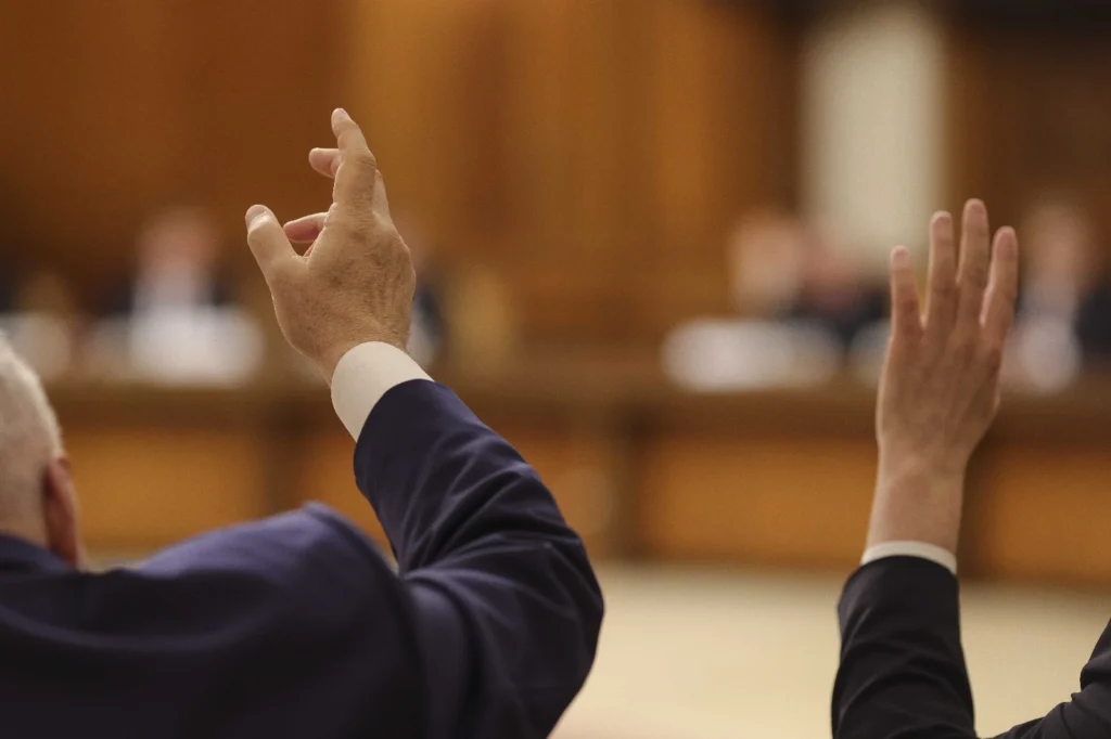 media-173496539189078300-1