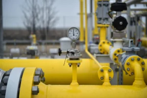 media-173798168692667900