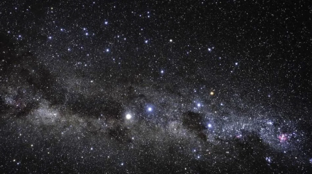 media-174001833942561000