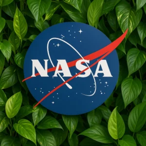 media-174506586346073100