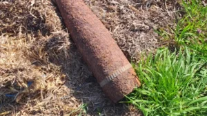 media-174526343181438800