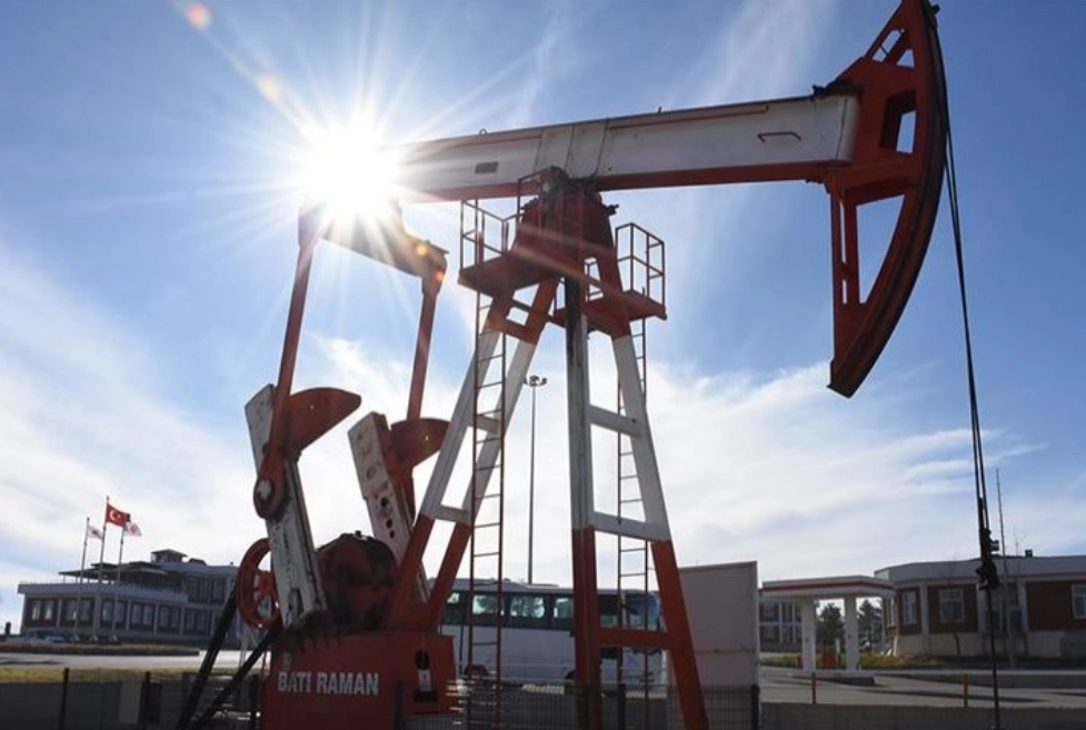 media-174608273027182500