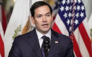 media-174779253813181900