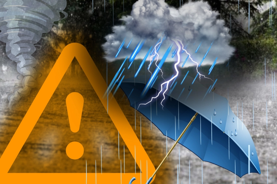 media-174919432952541100