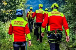 media-175390119353414600