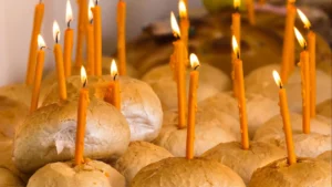 mosii-de-toamna_HnXLv