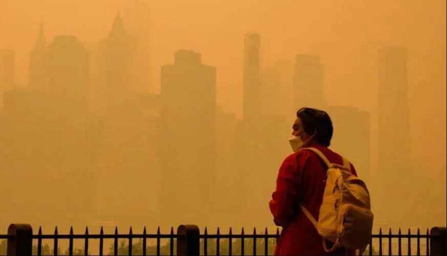 media-169182002405966000