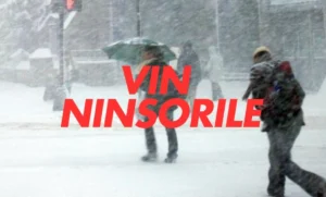 media-173355616308665700