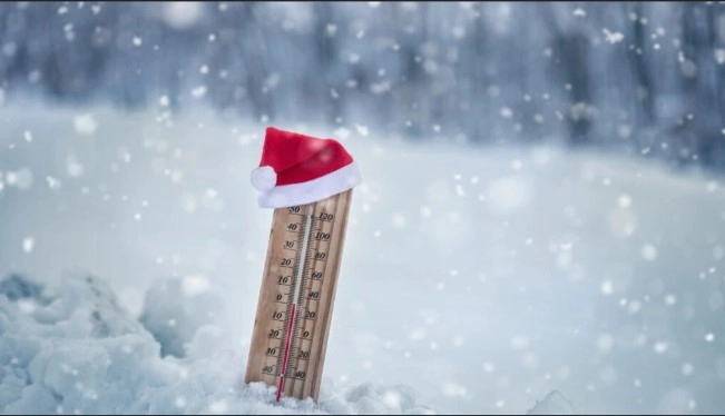 media-173406838662009300