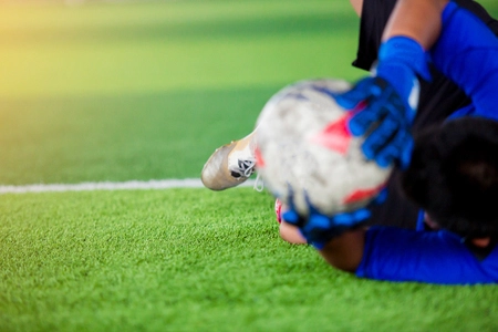 media-174965663075596800