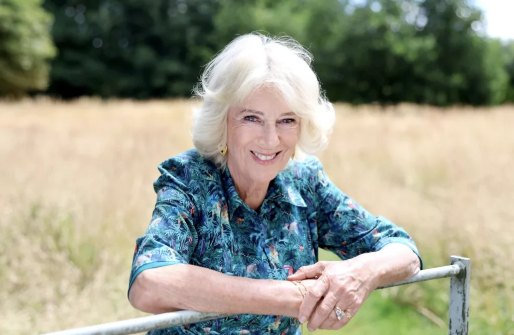 media-175273875037442000