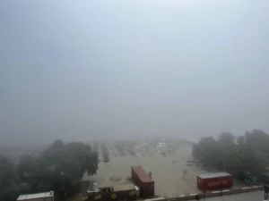 media-175344489604964900