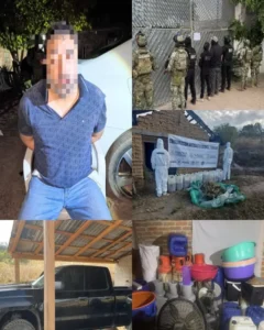 pichon-sinaloa_BAiLQ