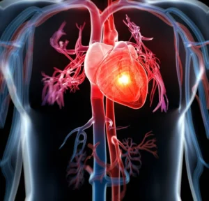 media-162193491718784600