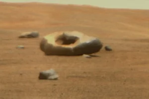 media-168843987604301300