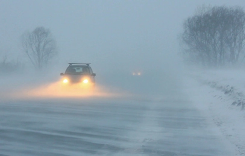 media-170097618268936300