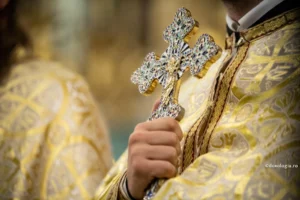 media-172543638223308900