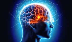 media-173534926896944300