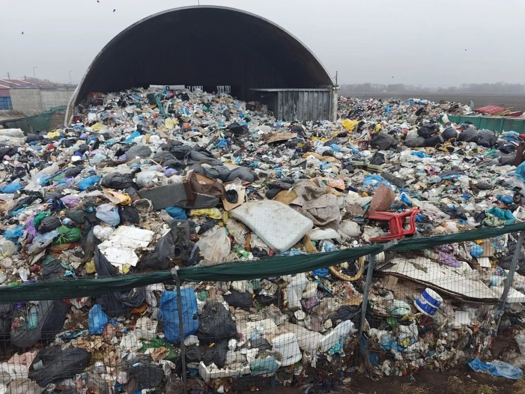 media-173824319487295400