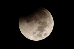 media-174185398432149100