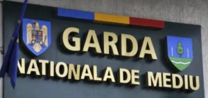 media-175268232139505400