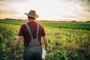 teren-agricol-fermier_sp21n