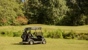 golf-cart-carucior-de-golf_lxQOE