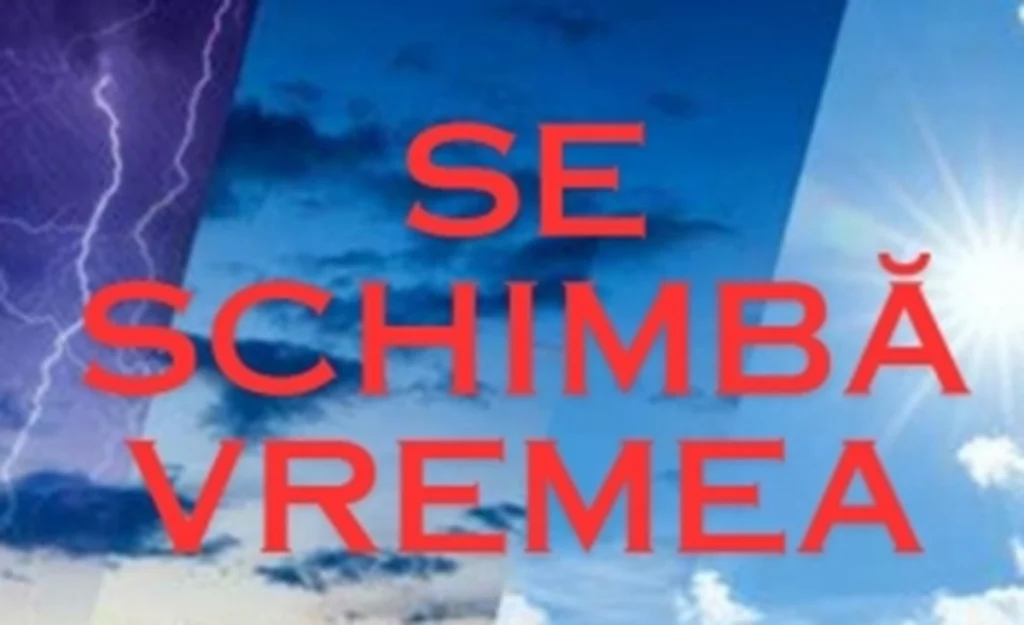 media-174210755959578500