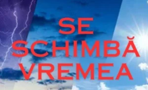 media-174210755959578500