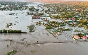 media-174875247529325400