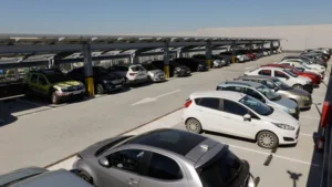 media-174894045789839100