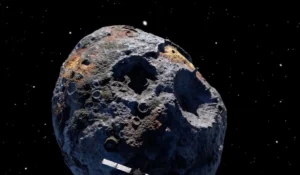 media-171922533581832700