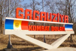 media-172542706943776000