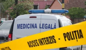 media-172681195094217200