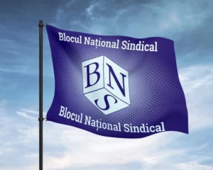 media-173391055046560800