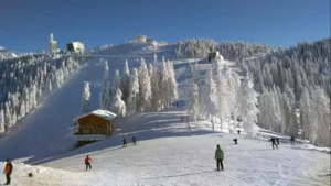 media-173631224204566000