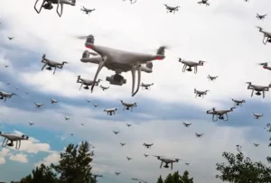 media-173677990327676500