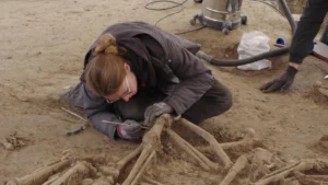 media-174368732061118200