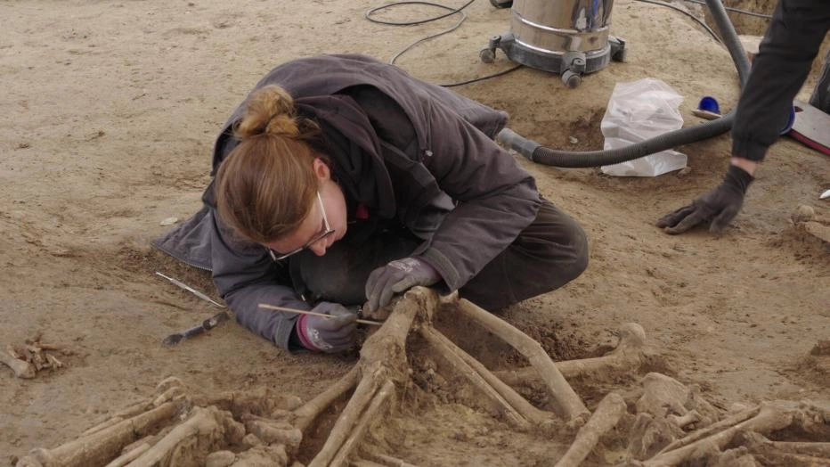 media-174368732061118200