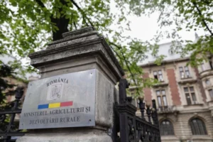 media-168205808424153500