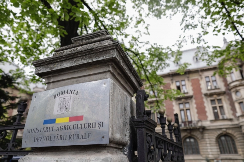 media-168205808424153500