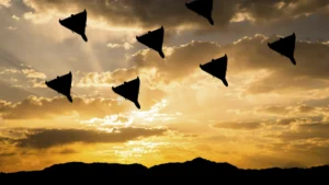 media-173409265040532100